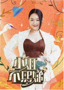 乘风2024 野猪影院